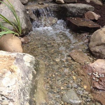 Pond Renovation