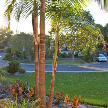 Subtropical Oasis
