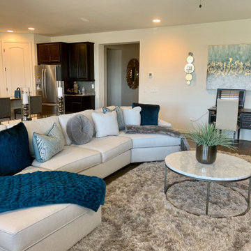 New Home In Alorvita- Peoria, AZ
