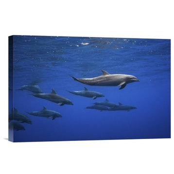 "Dolphins" Stretched Canvas Giclee by Barathieu Gabriel, 18x12"