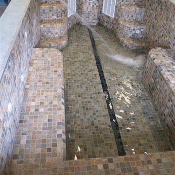 Swim Spa - Aspen, CO