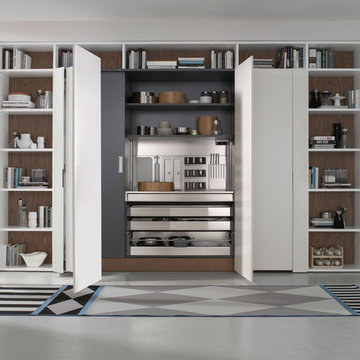 Pantry; Lacquer pocket doors