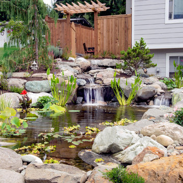 Waterfall and Koi Pond