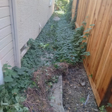 Professional Landscape Maintenance & Yard Care