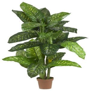 58" Artificial Wide Leaf Green Dieffenbachia Potted Plant