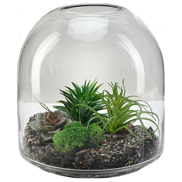 Serene Spaces Living Clear Dome-Shaped Glass Terrarium Vase, Small