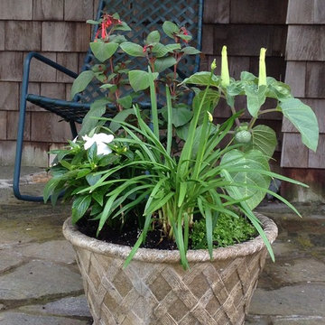 Garden Designs in Containers