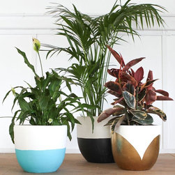 Pop & Scott White 'Pot of Gold' Pot | Pop & Scott - Indoor Pots And Planters