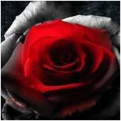 Luna Passarino's photo