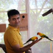 nafees mohammad's photo