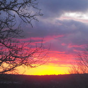 Pam McLeod Daniec's photo
