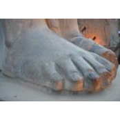 Terri Alexander's photo
