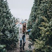 Taylor Apolonio's photo