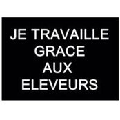 Bernard Martens's photo