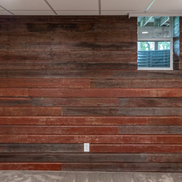 Barn Door Basement