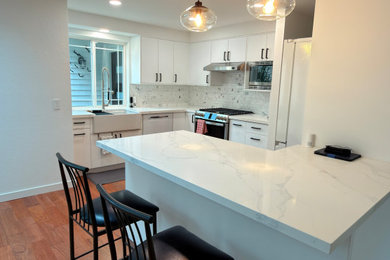 Mid-sized minimalist home design photo in Seattle