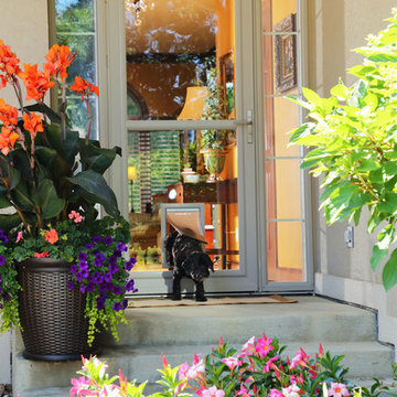 Pet Friendly Storm Doors
