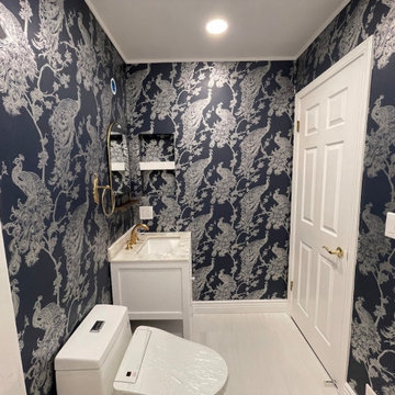 Danville Guest Bathroom remodel