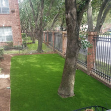 Houston landscape