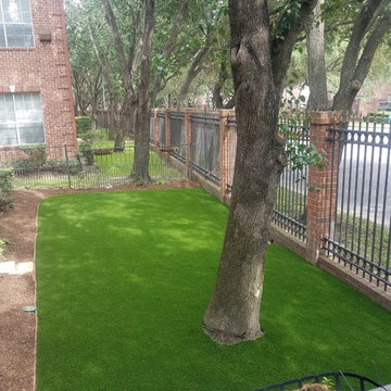 after sentry 65 ozMarquis on Pin Oak