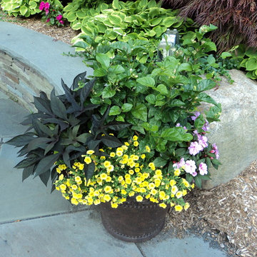 Flower Pot