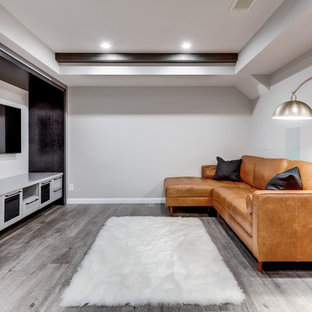 Modelo de sótano en el subsuelo contemporáneo, pequeño, sin chimenea, con paredes grises, suelo vinílico y suelo gris