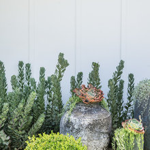 Planters