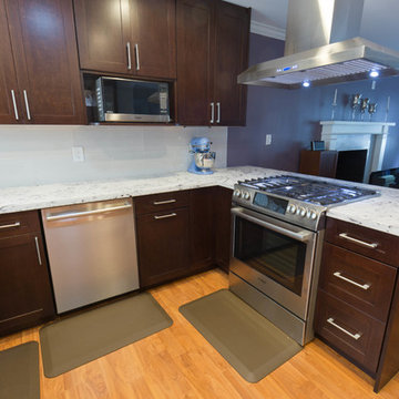 San Jose Full home renovation