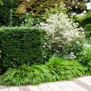 Small Contemporary Garden Blackheath