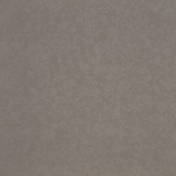 Zodiaq® Dove Gray, from the US Filtered Collection.
