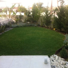Andreou backyard
