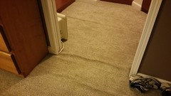 Carpeting By Lowes Or