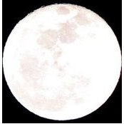 Jane Smith's photo