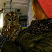 Foto von Камила Пахмутова