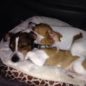 Laurie Maynard's photo