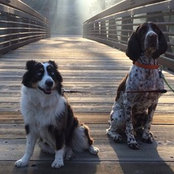 David McIntyre's photo