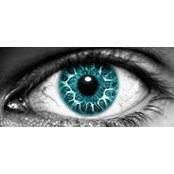 David Danson's photo