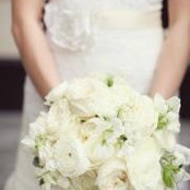 Anna Ming's photo