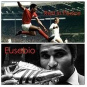 David Pires's photo