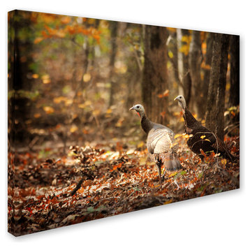 Jai Johnson 'Wild Turkey In The Woods' Canvas Art, 19 x 14