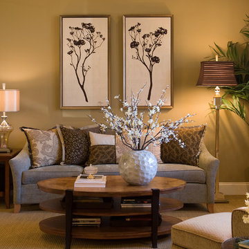 Casual Elegance Living Room
