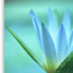 Canvas prints - "Softdaze" - Photographs