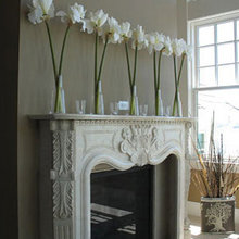 Master Bedroom Fireplace