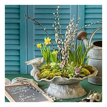 Potted plants