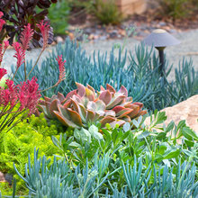 Backyard Small Flower Bed