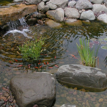 Ponds
