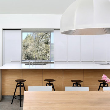 Hillside Modern