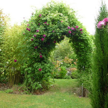 Landscape Ideas
