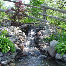 Grady Landscape Ideas