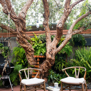 The Horticult Garden